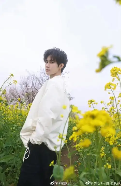 张真源油菜花田照#张真源春日油菜花田照好温柔啊,春天适合见面8