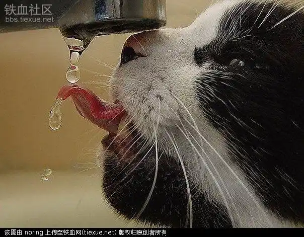 小笑话 杭州萧山民众自发悼念3名殉职消防员 八岁儿子如何追求女班长