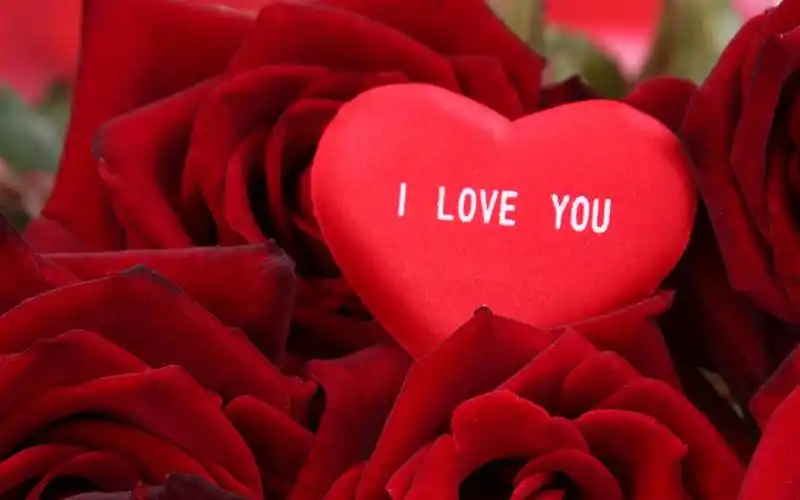 爱心玫瑰 > || 更新时间:2018-11-25 颜色分 红色 关键词:  唯美图片