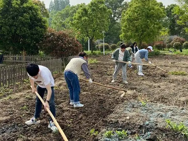 开心农场咱们种菜吧