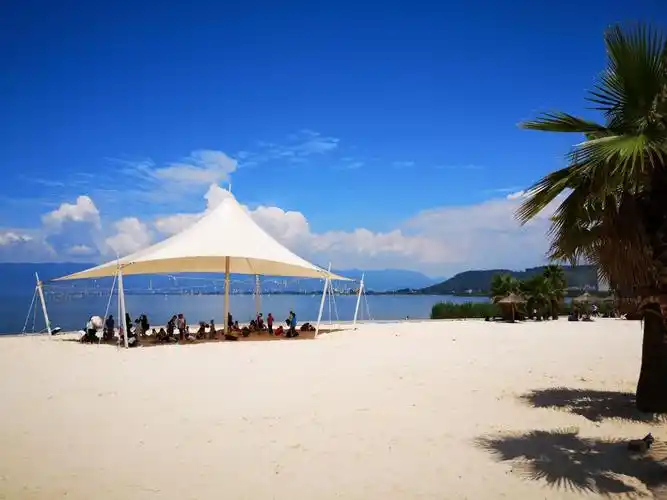 2020樱花谷游玩攻略,.抓小鱼,最好穿凉鞋,光脚.【去哪儿攻略】