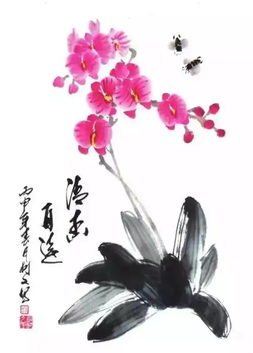 国画技法:蝴蝶兰的画法(附写生稿)