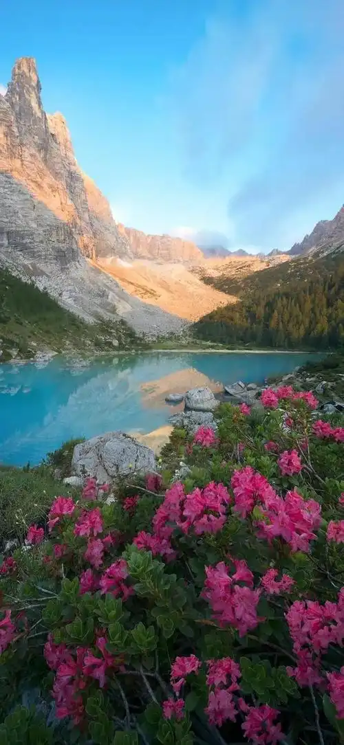 4k超清手机壁纸(四十一)_网易订阅