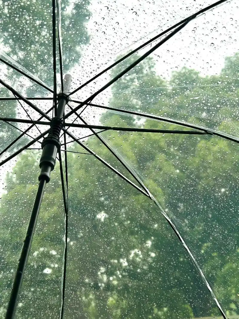 雨是阴天的具体 表现#下雨天 #治愈系风景 #风景 #我慢慢 - 抖音