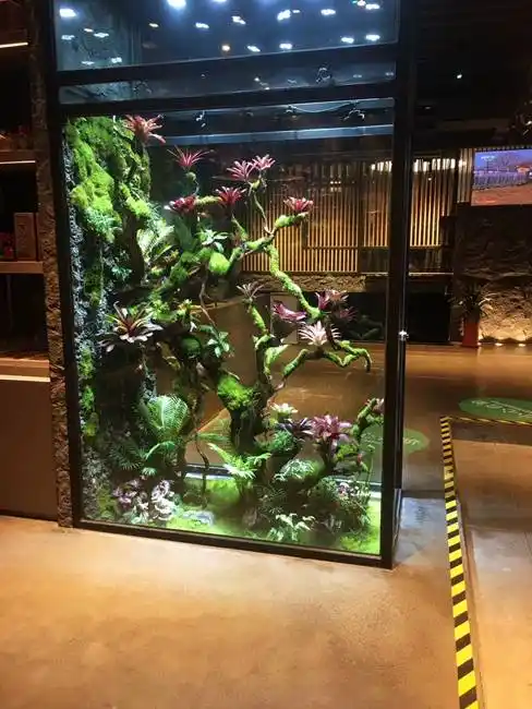 带有风水设计理念的家庭生态鱼缸造景环境影响运气