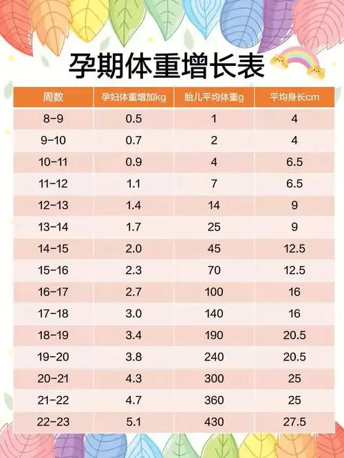 孕期体重增长表