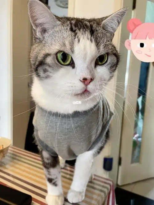 有一种冷叫"妈妈觉得我冷"立冬了!