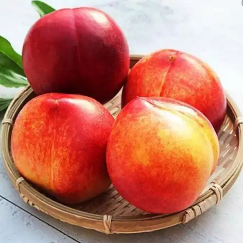 静奶奶山东红油桃5斤装单果70g产地直发产地直发