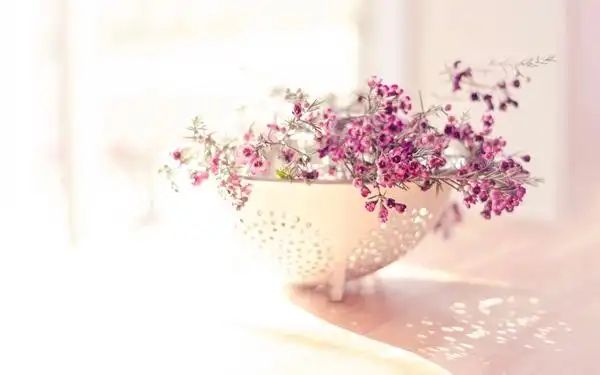 淡淡花香简约图片 微信背景图片