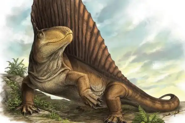 大型盘龙目异齿龙背部带有巨大帆状物能调节体温