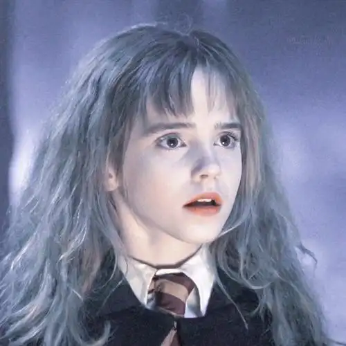 哈利波特|赫敏·格兰杰 头像 harry potter and the sorcerers stone
