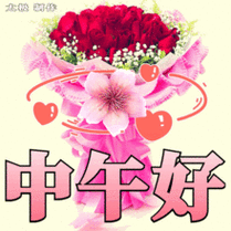 中午好问候图片大全下午好,中午好问候图片大全集_竞价网