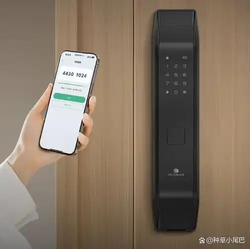 德施曼智能锁哪款性价比高质量好?以下几个系列照着买准没错
