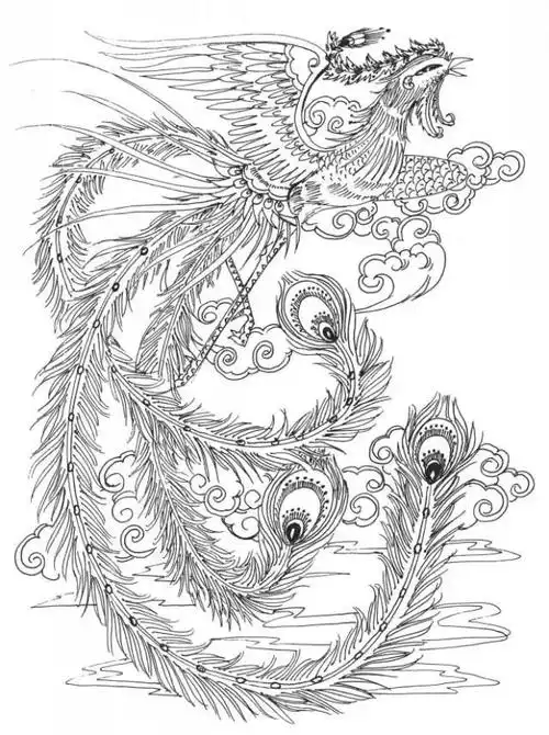 书画联盟丨龙凤白描图谱凤