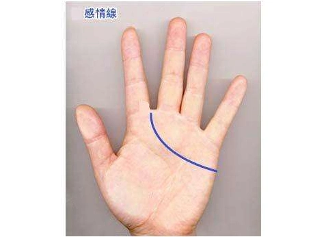 感情线看运势:手相感情线有这种特征,一生情路坎坷,婚姻不顺