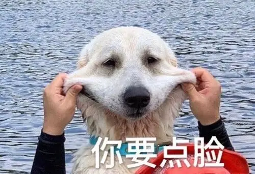 狗头表情包特辑太多了有点杂哈哈哈哈