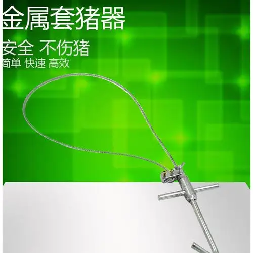 打针套猪保定钢丝绳金属固定捉抓拉猪栓嘴套兽用畜牧