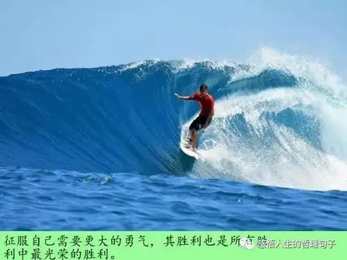 怯于勇气的人必长于奸诈.