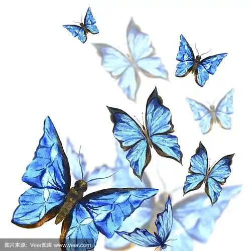 白底上的水彩画蝴蝶,贺卡