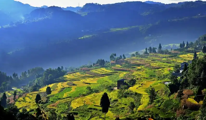 綦江区丁山镇一景.市农业农村委供图