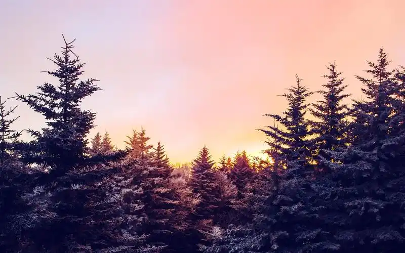 寒冷冬日雪景唯美高清桌面壁纸