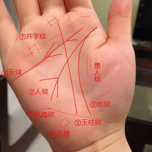 精力充沛,身体健康,事业上必有建树的手相