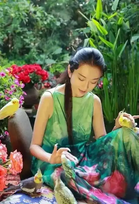 杨丽萍的豪宅封查 杨丽萍的豪宅面朝大海(7)