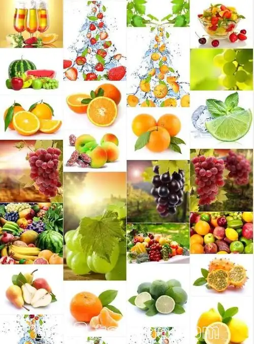 水果图片高清素材 图库 水果特写素描 各类水果图片
