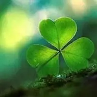 带来健康的微信头像【点击鼠标右键下载】