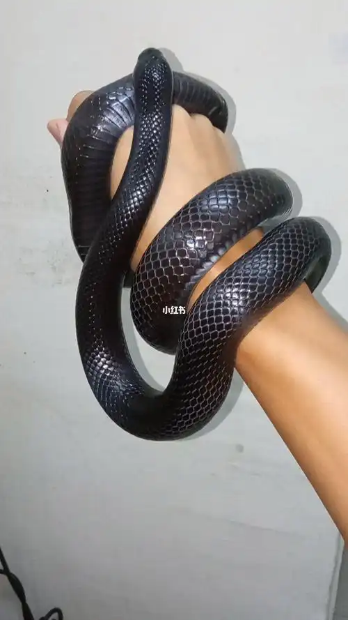 黑王蛇的按摩真是一流