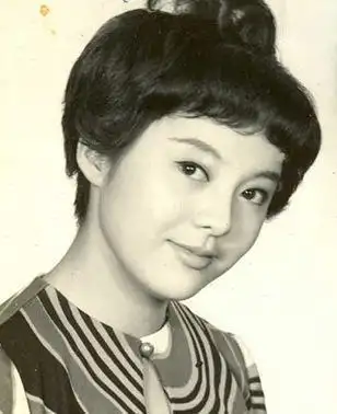 不堪一击的邢慧:爱情受挫事业下滑,精神失常错手弑母郁郁而终