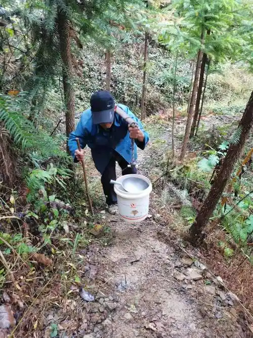 石门县罗坪乡八旬老人山里挑水吃自来水管成摆设