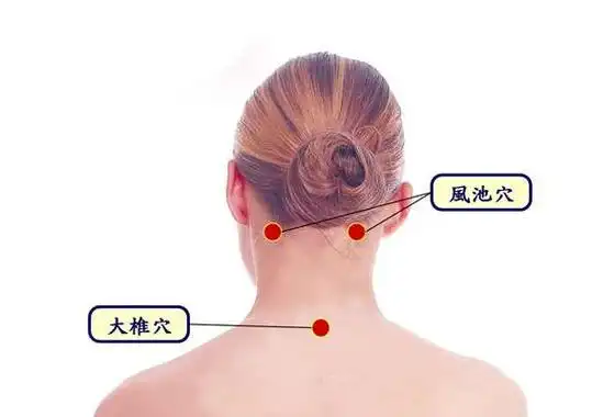 大椎穴位图在哪里