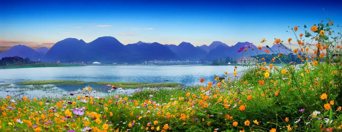 棕榈云漫湖国际生态城