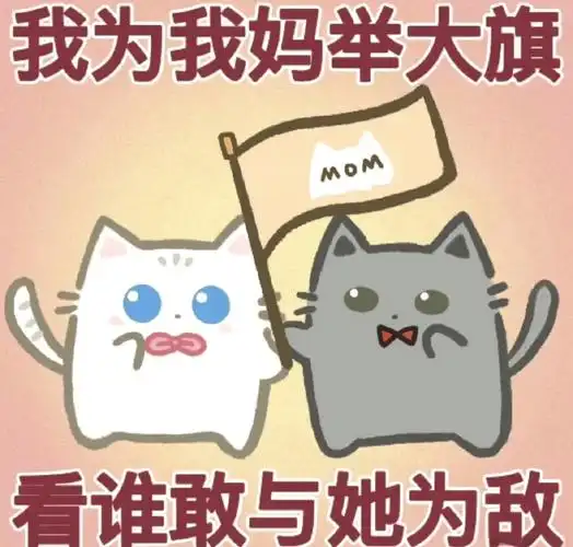 💖感谢妈妈的可爱表情包💐