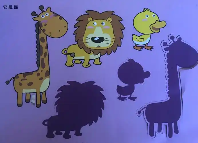 2.能依据外形特征动物图卡与影子图卡配对.