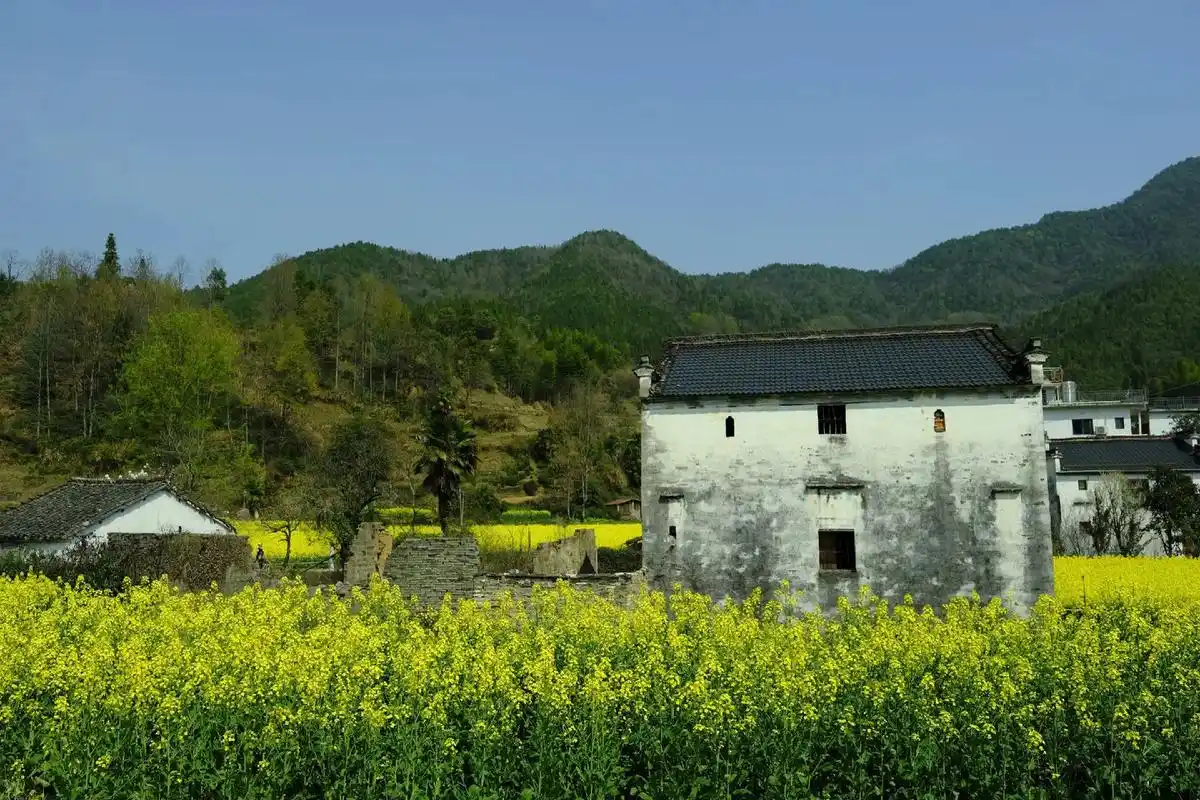 小桃源-庆源村.庆源村长期与世隔绝,民风淳朴,空气清新,泉水 - 抖音