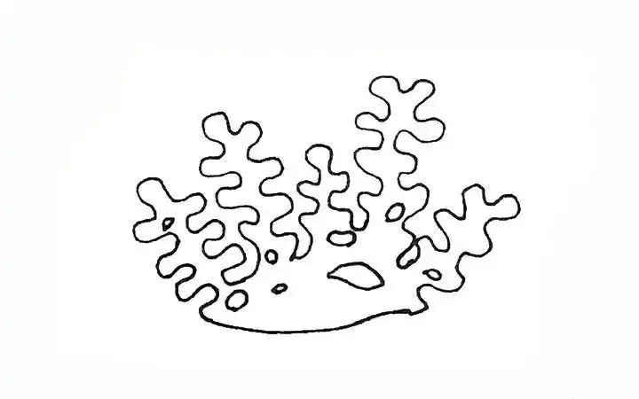 珊瑚怎么画