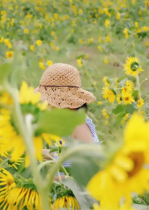 向日葵女孩