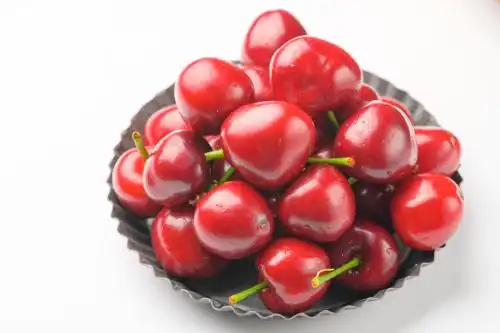 成熟的砂蜜豆 樱桃