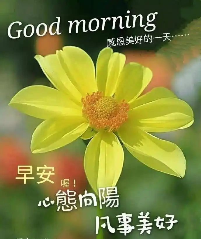 超漂亮的早安正能量问候祝福语,温馨幸福的早安图片带祝福语