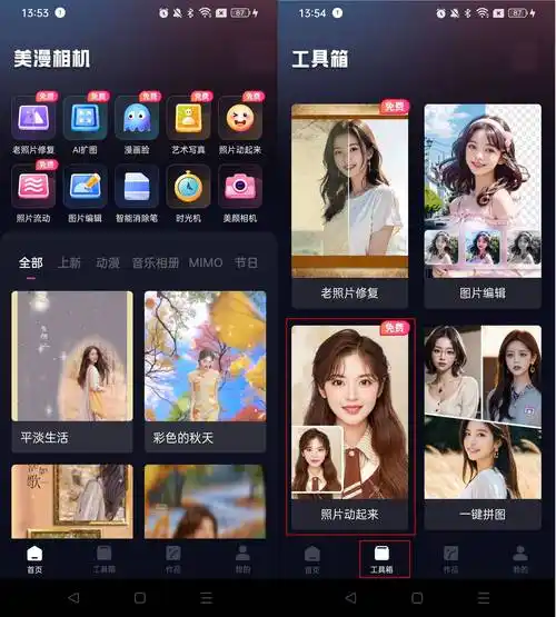 效果_动态_软件