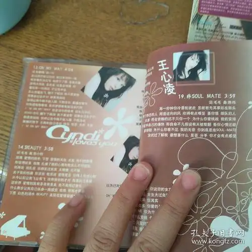 王心凌爱你cd