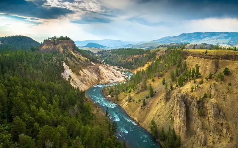 原始森林自然风光高清照片桌面壁纸 - 2560x1600 壁纸 下载