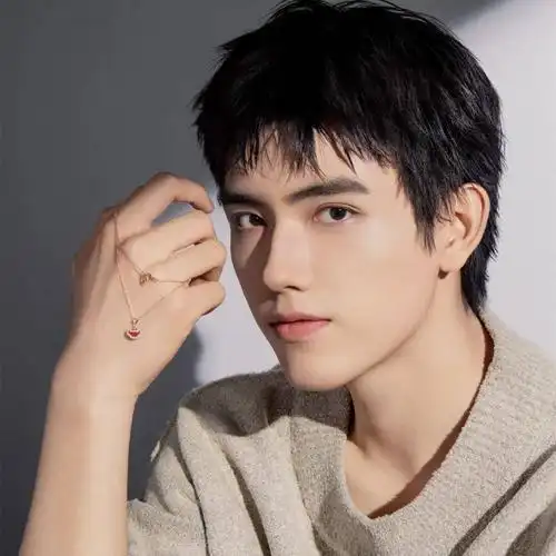 微信头像陈飞宇