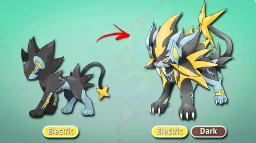 假如精灵宝可梦都有超级进化1