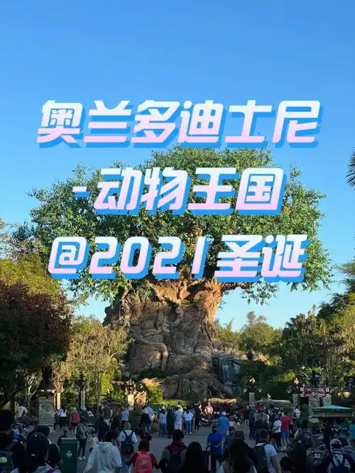 奥兰多迪士尼animalkingdom攻略