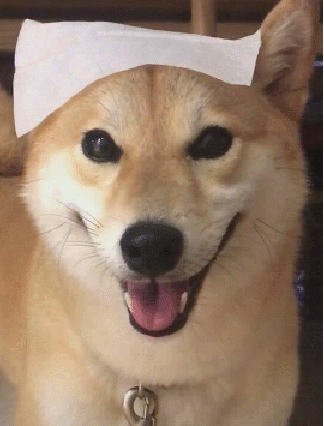 324_426竖版 竖屏gif 动态图 动图