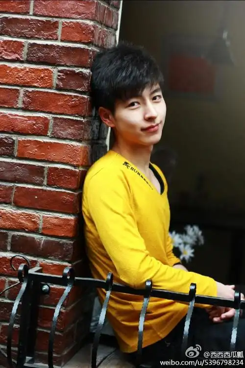 这男生帅吗,根据你自己的审美观回答,还有弱弱的问一句,这照片是不是