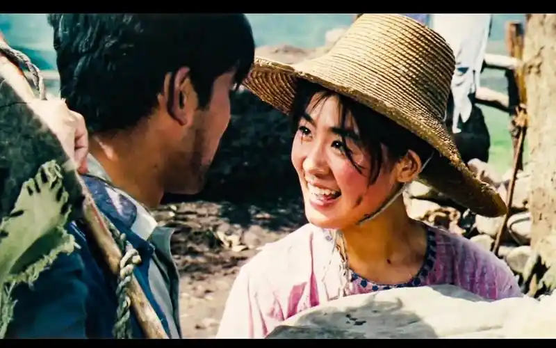 深度解析《牧马人》:抖音爆红背后的爱情乌托邦_哔哩哔哩_bilibili